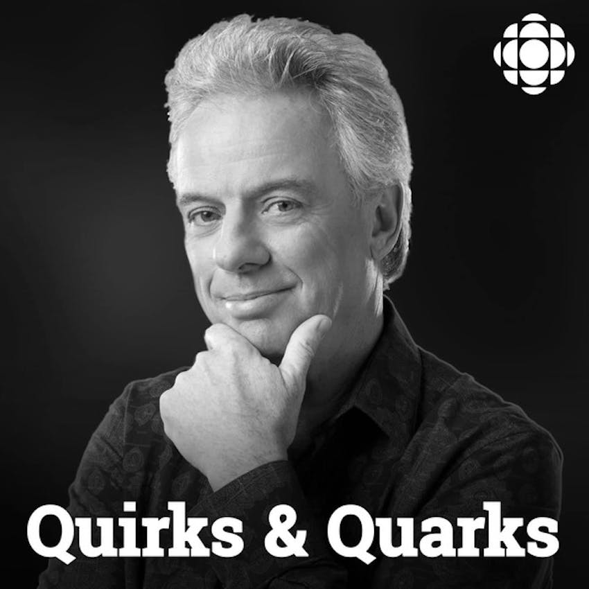 Quirks And Quarks From Cbc Radio On Stitcher