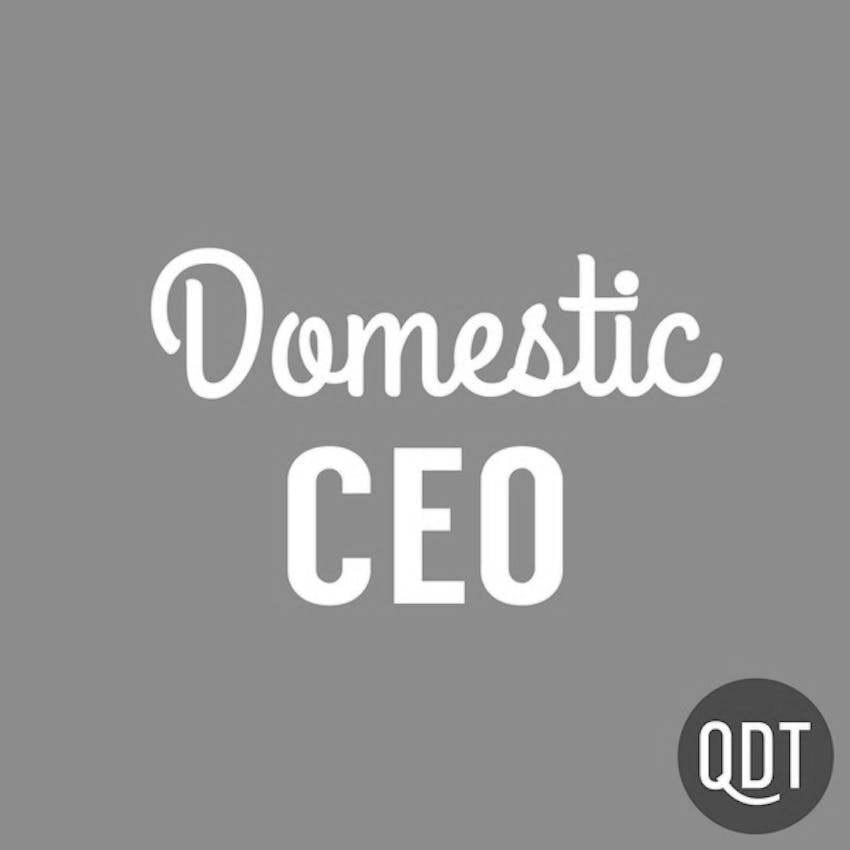 Domestic Ceo S Quick Dirty Tips To Managing Your Home 4 Dceo How To Whiten Whites Without Chlorine Bleach On Stitcher Domestic Ceo S Quick Dirty Tips To Managing Your Home 4 Dceo How To Whiten Whites Without Chlorine Bleach On Stitcher