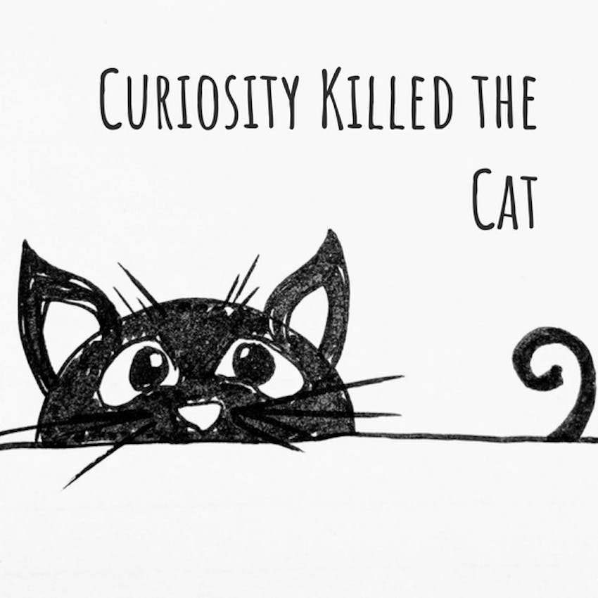 Curiosity Killed The Cat Po Polsku Curiosity Killed the Cat on Stitcher