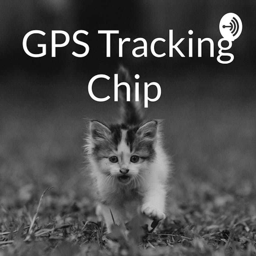 Gps Tracking Chip On Stitcher